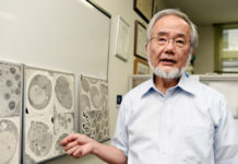 Нобелевской премии по медицине и физиологии за 2018 год