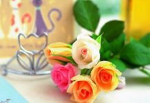 Говорите людям «благодарю» и не говорите «спасибо»!