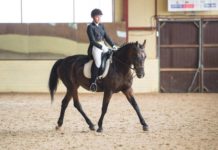 Обучение верховой езде: как правильно учить ребенка?