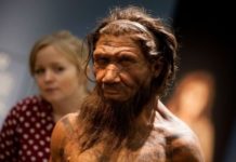 10 признаков, которые отличают человека от других животных