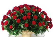 Какой может быть сценарий юбилея для женщины? Какой может быть сценарий юбилея для женщины?