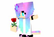 Использование разных скинов в игре Minecraft Использование разных скинов в игре Minecraft