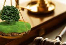 «Земельные вопросы»: нужна ли помощь юриста? «Земельные вопросы»: нужна ли помощь юриста?