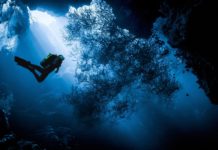 Дайвинг в Севастополе в клубе «Матёрые бобры» Дайвинг в Севастополе в клубе "Матёрые бобры"