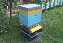 Преимущества весов для улья Преимущества весов для улья