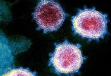 Коронавирус в Сирии: закончится ли война? Коронавирус в Сирии: закончится ли война?