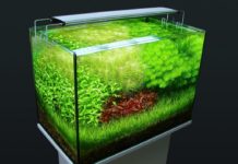 Зачем нужны светильники для аквариумов? Зачем нужны светильники для аквариумов?