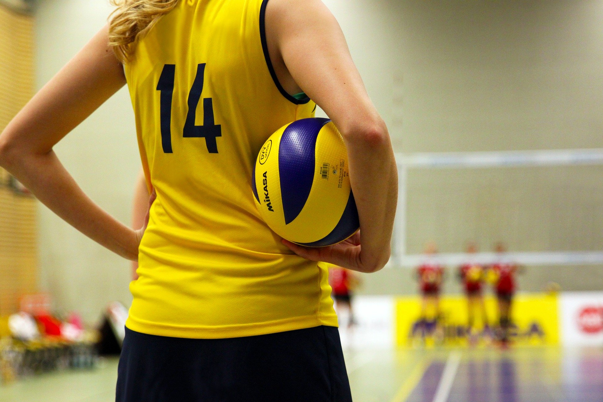 Dribling - Особенности волейбольных мячей