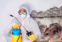 Услуги дератизации