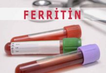 Анализ на ферритин: оценка запасов железа и выявление анемии