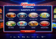 Что собой представляет казино multigaminator