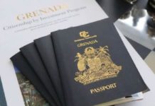 Инвестиционное гражданство Гренады: плюсы и минусы второго паспорта