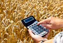 Где узнать новости о субсидировании сельского хозяйства в Казахстане