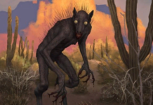 Как выглядит настоящая чупакабра: фото в реальной жизни