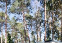 Где отдохнуть от суеты на природе жителям Москвы