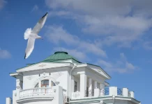 Туризм дома: почему стоит выбрать отечественные путешествия