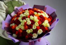 Розы: история, сорта, уход и применение