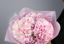 Цветы с душой: как сделать презент незабываемым