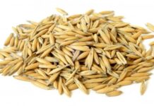 Технологический процесс производства ячменя: от семян до упаковки