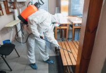 Обработка от тараканов туманом: советы по выбору профессиональной службы
